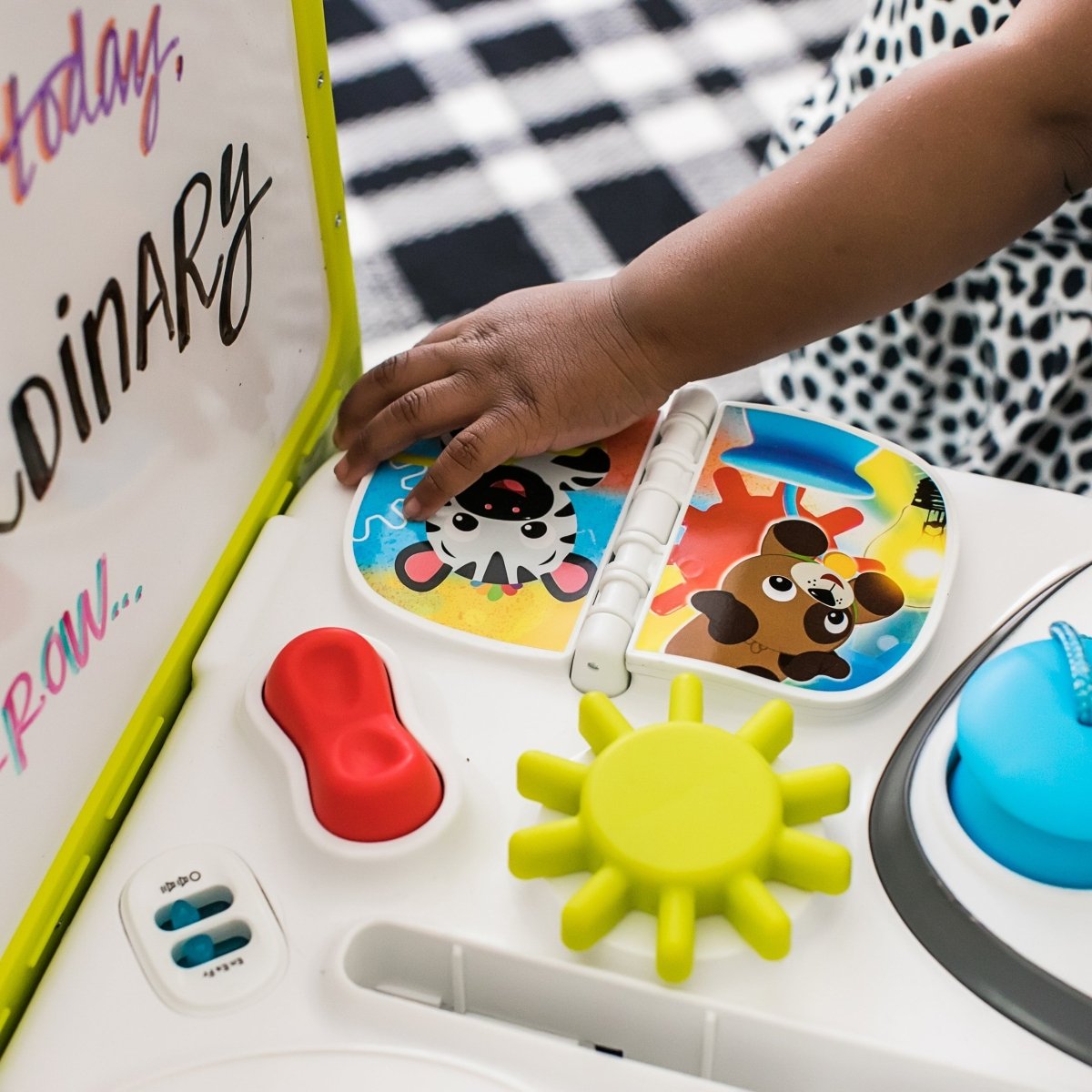 CURIOSITY TABLE - Premium for Kids in Qatar | Toysaro.com