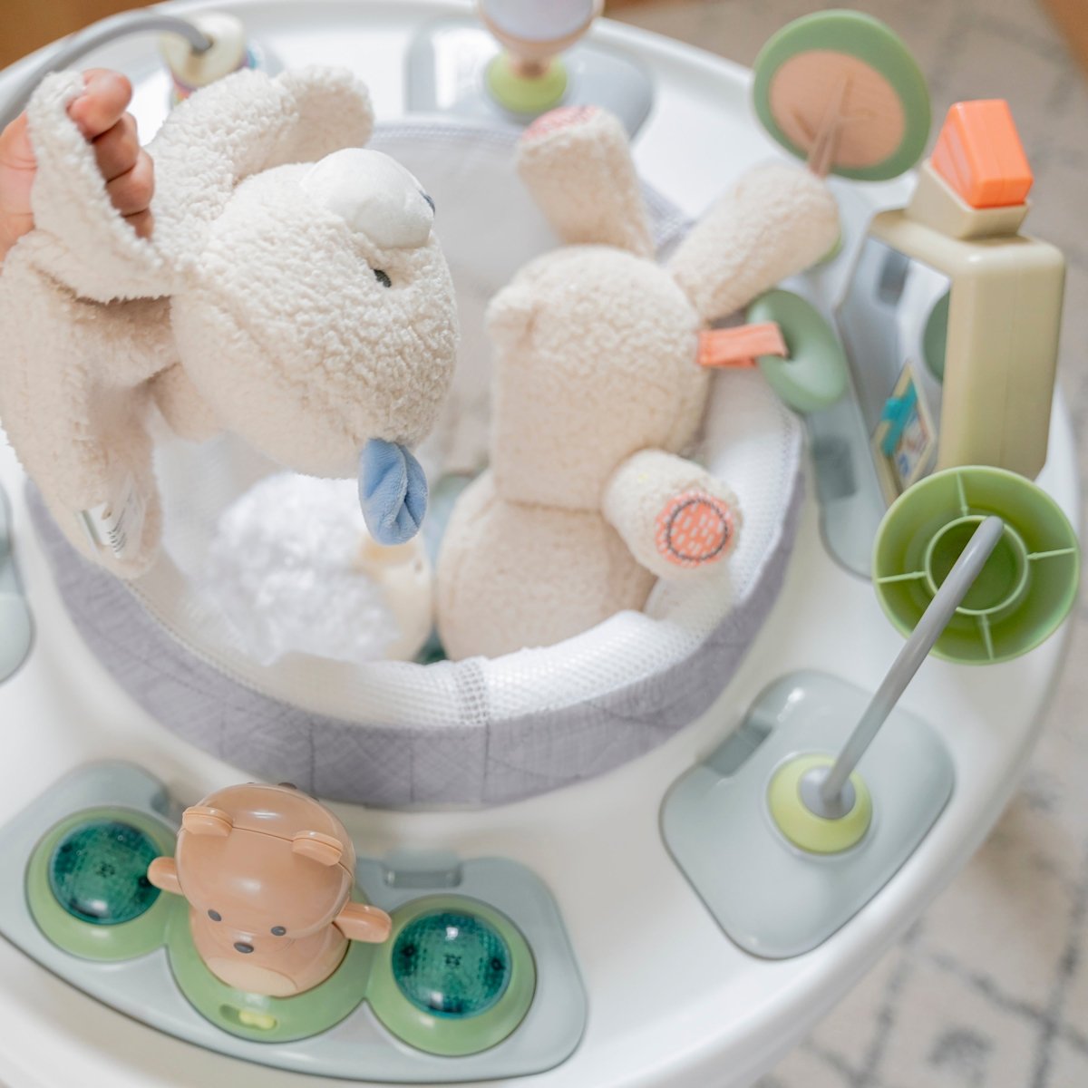 SPRING & SPROUT 2 - IN - 1 ACTIVITY JUMPER &TABLE FIRST FOREST - Premium for Kids in Qatar | Toysaro.com