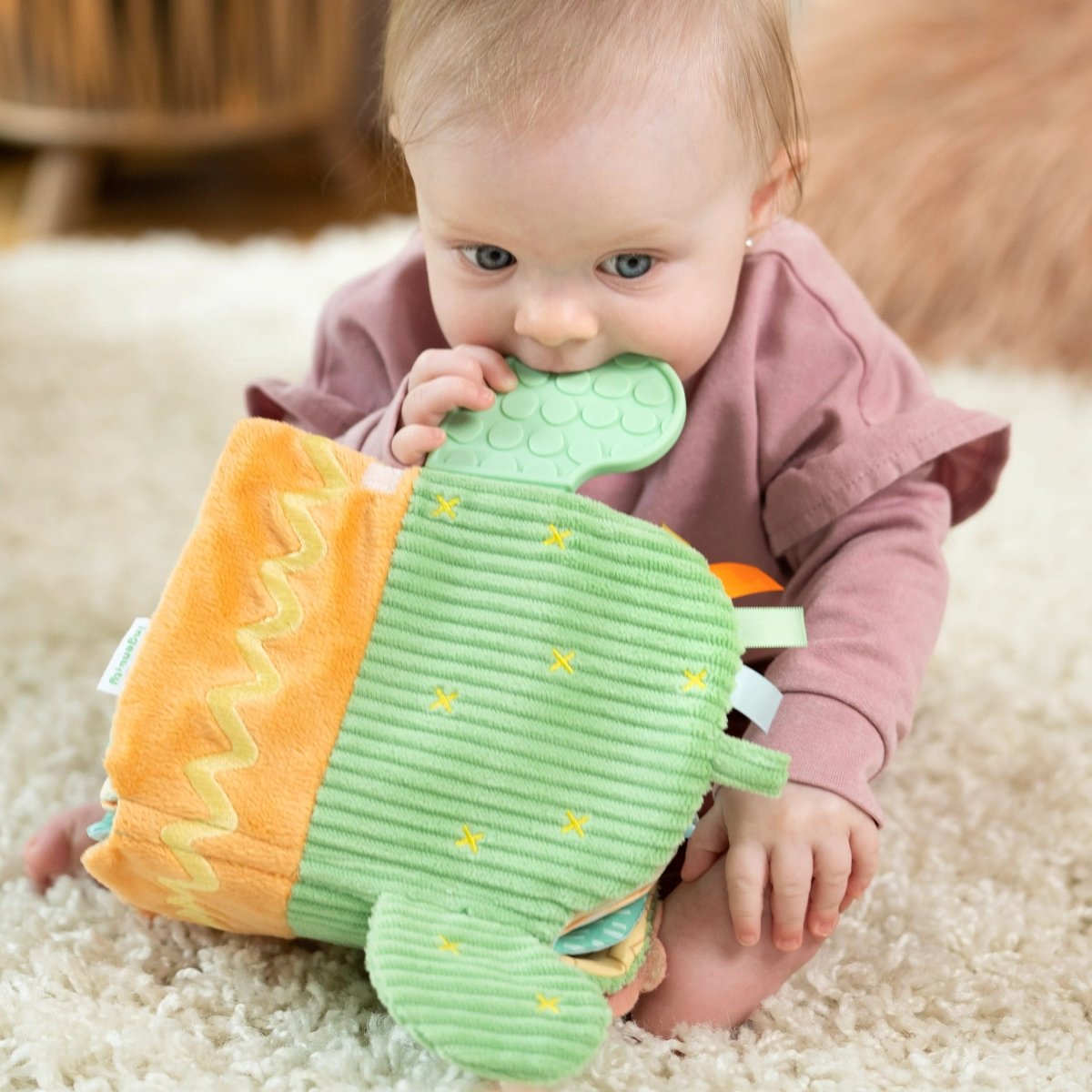 INGENUITY™CALM SPRINGS SOFT TEETHING ACTIVITY BOOK - Premium for Kids in Qatar | Toysaro.com