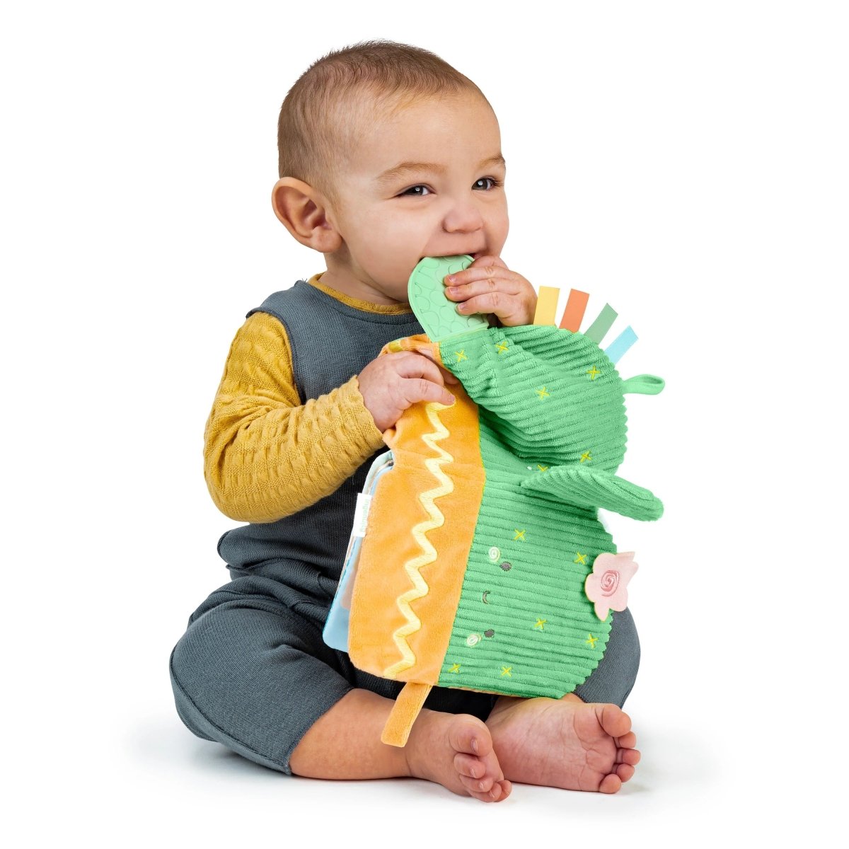 INGENUITY™CALM SPRINGS SOFT TEETHING ACTIVITY BOOK - Premium for Kids in Qatar | Toysaro.com