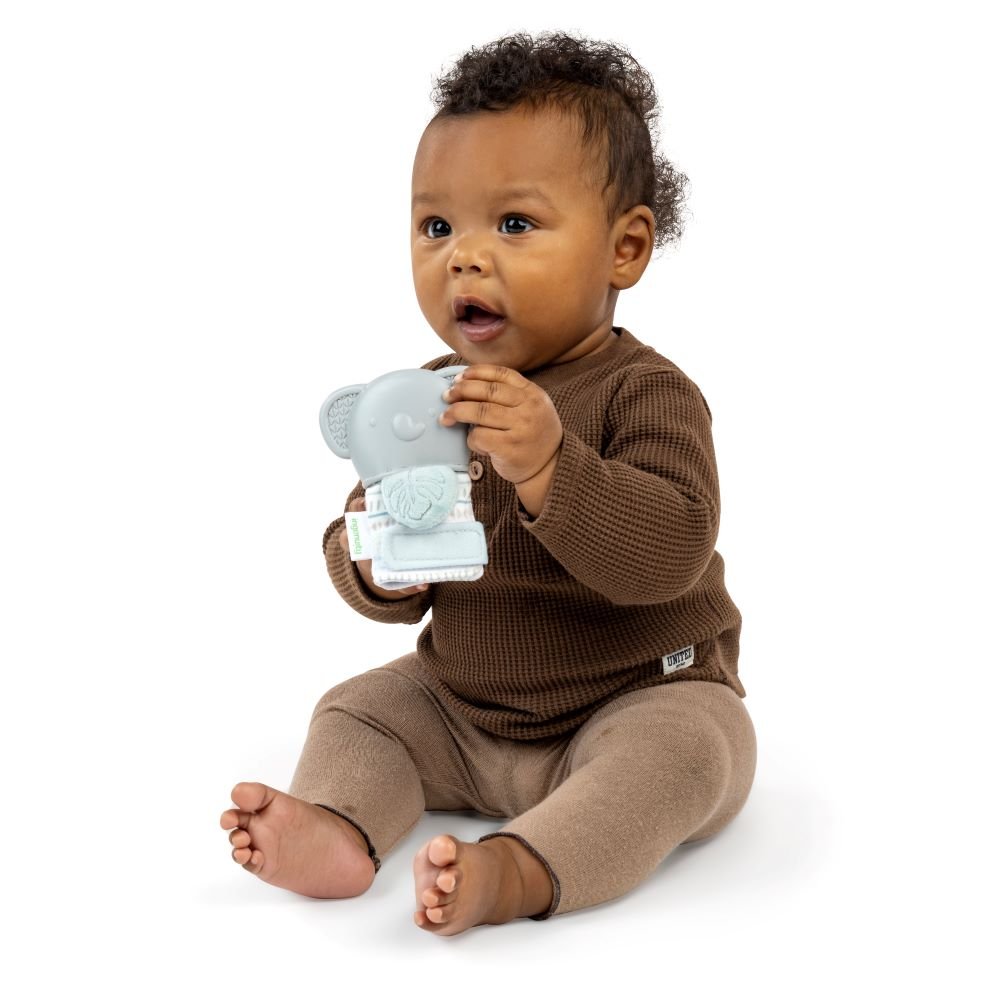 INGENUITY™ VAN TEETHING MITT & RATTLE - Premium for Kids in Qatar | Toysaro.com