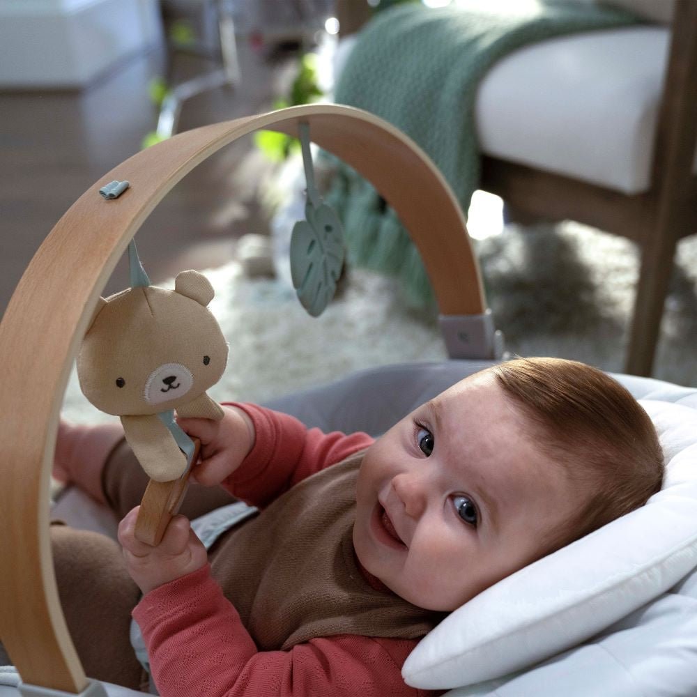 INGENUITY™ COZY SPOT SOOTHING BOUNCER - Premium for Kids in Qatar | Toysaro.com
