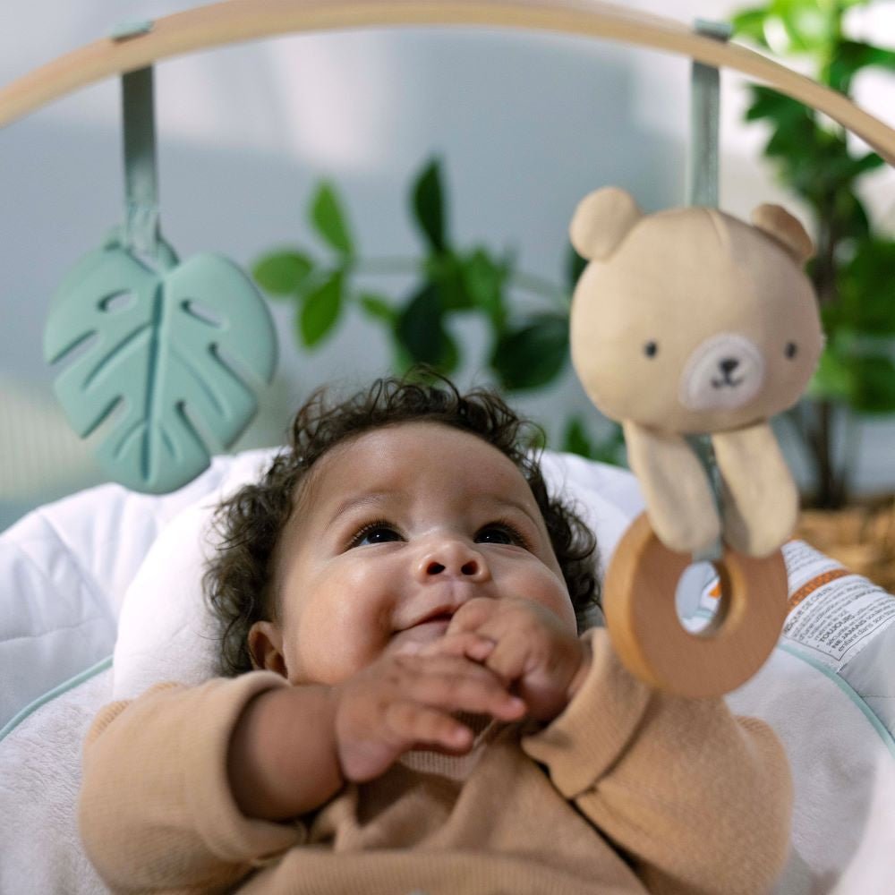 INGENUITY™ COZY SPOT SOOTHING BOUNCER - Premium for Kids in Qatar | Toysaro.com