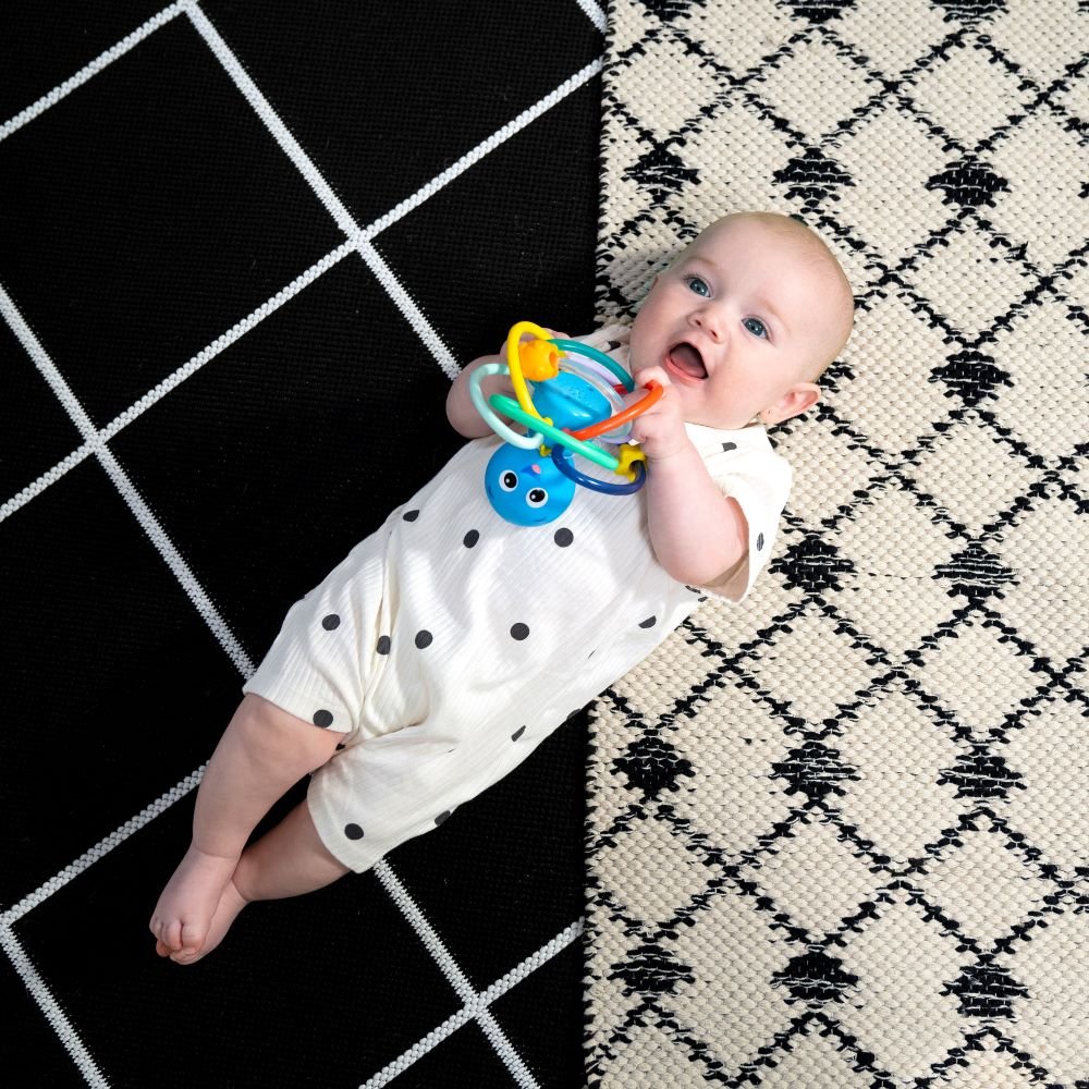 BABY EINSTEIN™ OPUS’S SHAKE & SOOTHE TEETHER TOY & RATTLE - Premium for Kids in Qatar | Toysaro.com