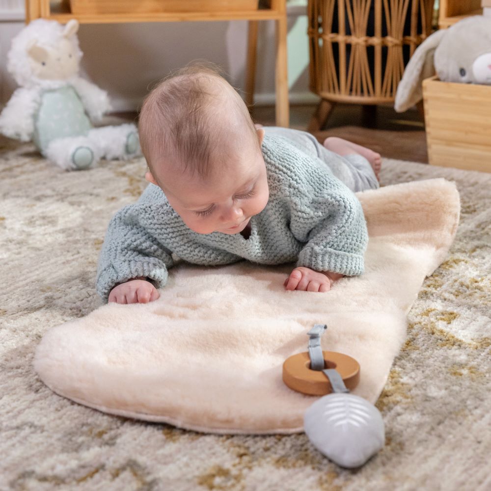 INGENUITY™EVERY SEASON ROCKING SEAT - WESLEY - Premium for Kids in Qatar | Toysaro.com