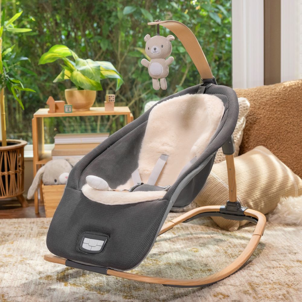 INGENUITY™EVERY SEASON ROCKING SEAT - WESLEY - Premium for Kids in Qatar | Toysaro.com