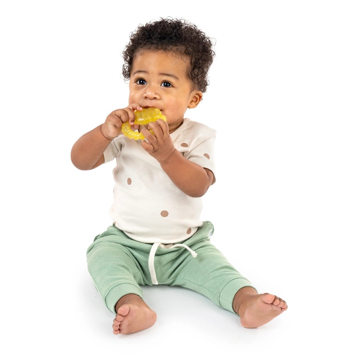 INGENUITY™COOL BITE WATER TEETHER - BOMBY - Premium for Kids in Qatar | Toysaro.com