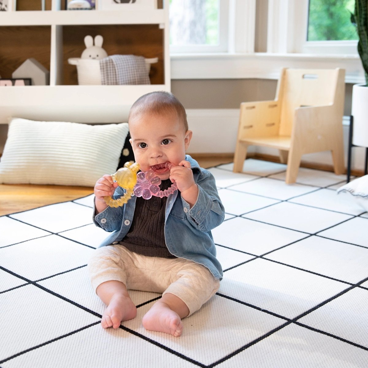 INGENUITY™COOL BITE WATER TEETHER - BOMBY - Premium for Kids in Qatar | Toysaro.com