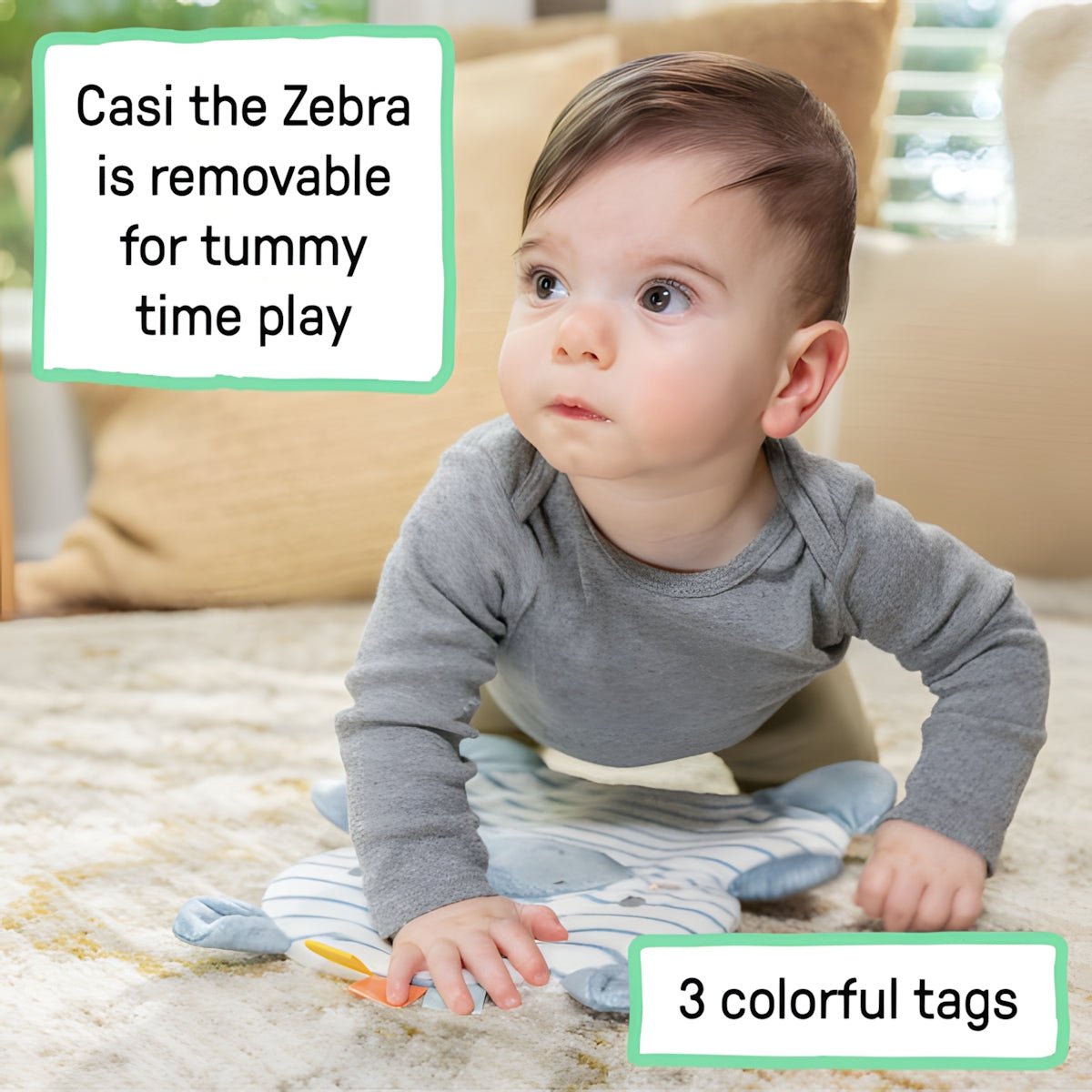 INGENUITY™PROP SPOT LEARN - TO - SIT - CASI - Premium for Kids in Qatar | Toysaro.com