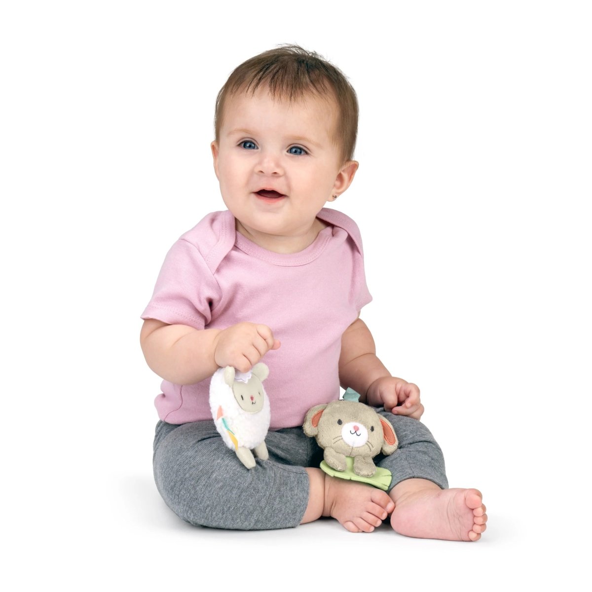 INGENUITY™ WONDER & WOOD CARRIER TOYBAR - Premium for Kids in Qatar | Toysaro.com