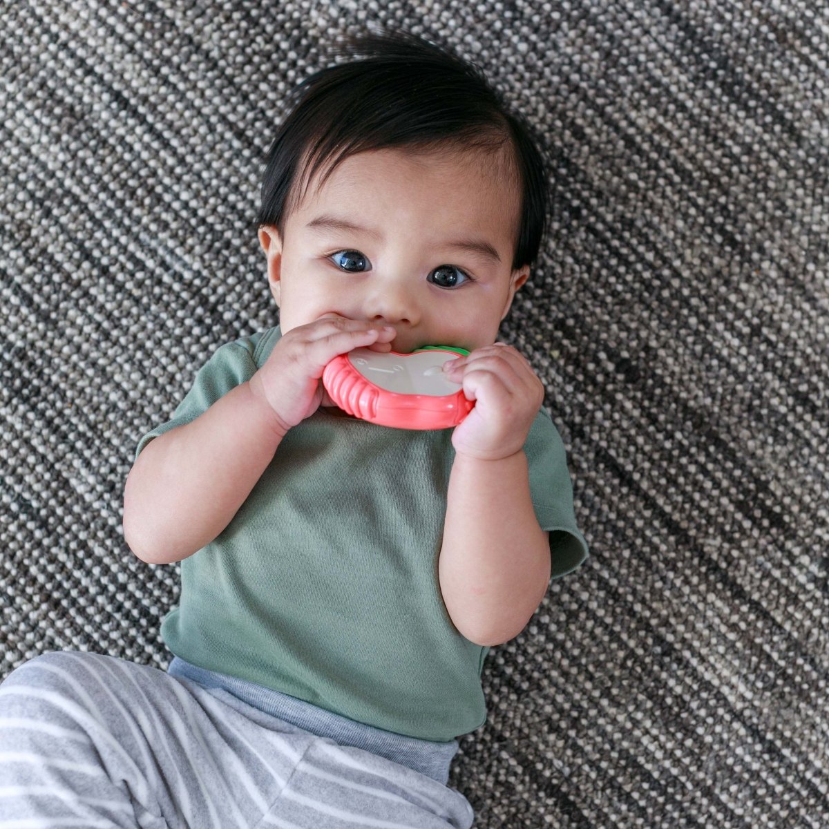 Infantino Lil' Nibbles Vibrating Teether – Apple Shape, Multicolor, 0+ Months | Premium Baby Toy in Qatar – Toysaro.com