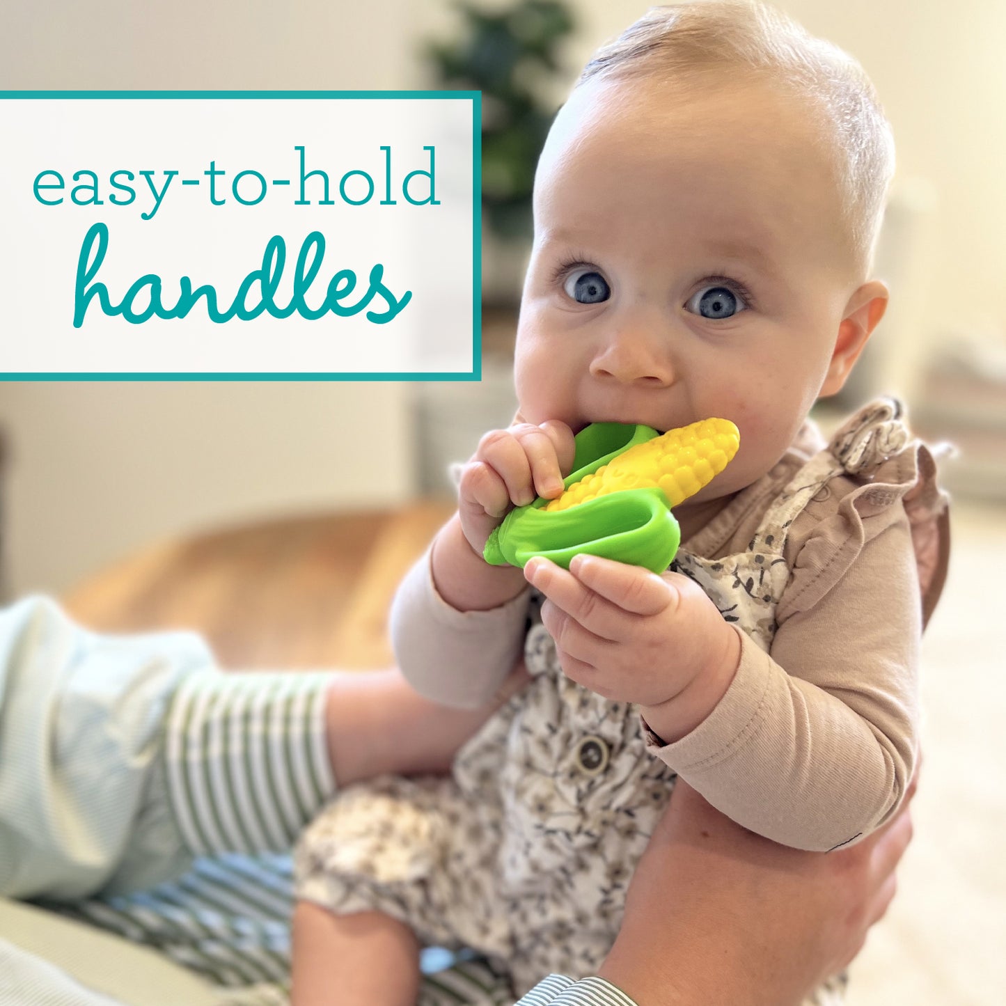 FARMERS MARKET TEETHER GIFT SET