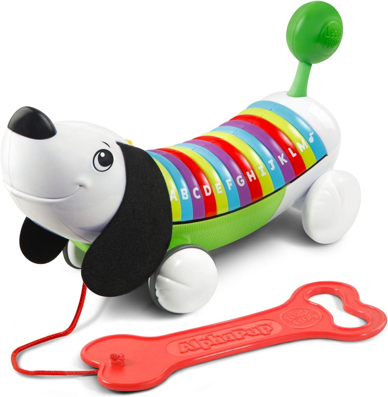 ALPHAPUP (GREEN) LEAPFROG - Premium for Kids in Qatar | Toysaro.com