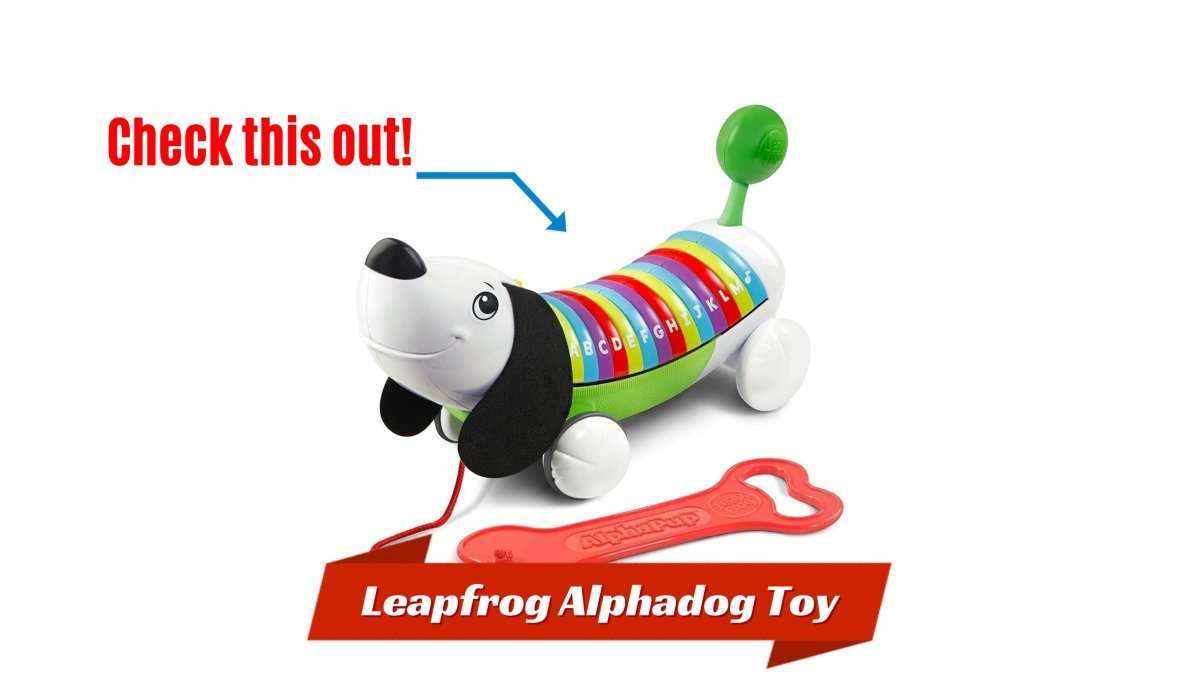 ALPHAPUP (GREEN) LEAPFROG - Premium for Kids in Qatar | Toysaro.com