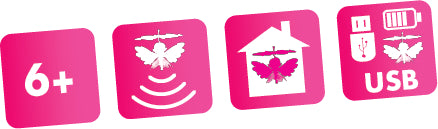 FAIRY WINGS ASSORTMENT