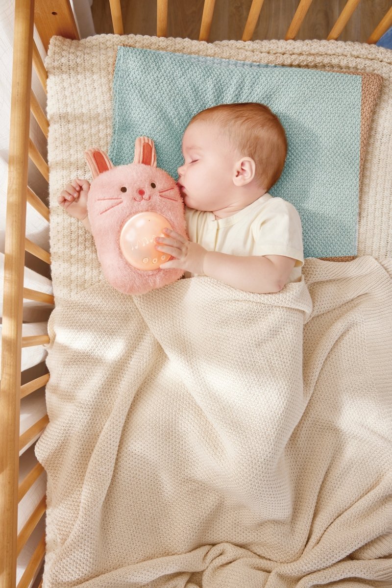 My Musical Pal - Huggy Roro - Premium for Kids in Qatar | Toysaro.com