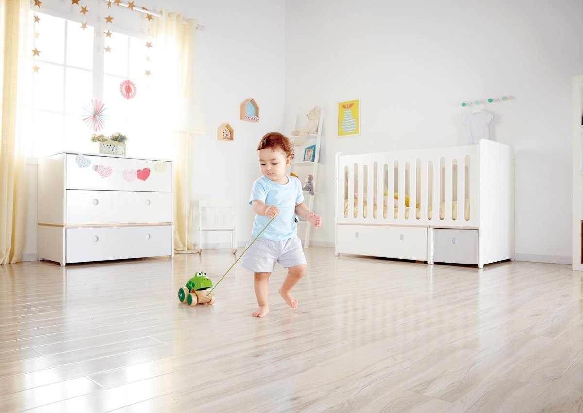 Hape Frog - Themed Push & Pull Along Toy - Premium for Kids in Qatar | Toysaro.com