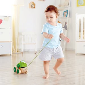Hape Frog - Themed Push & Pull Along Toy - Premium for Kids in Qatar | Toysaro.com