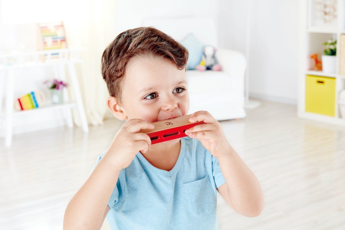 Hape Blues Harmonica Wooden Musical Instrument - Premium for Kids in Qatar | Toysaro.com