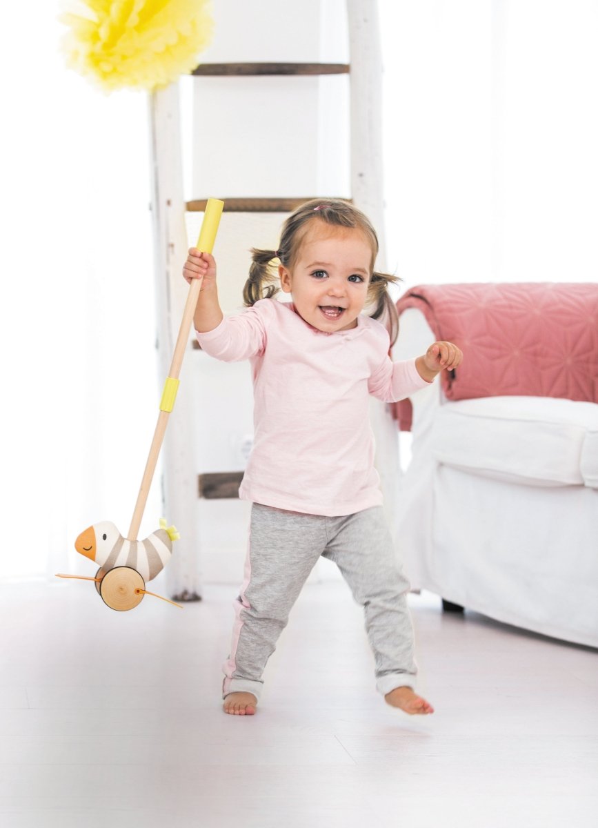 Hape Wooden Flappy Bird Push & Pull Toy - Premium for Kids in Qatar | Toysaro.com