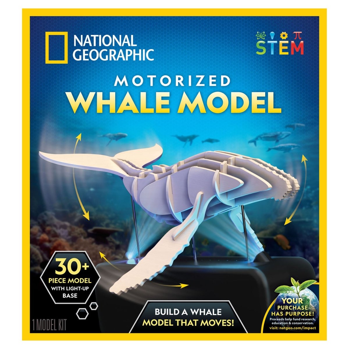 NG MOTORIZED WHALE MODEL - Premium for Kids in Qatar | Toysaro.com