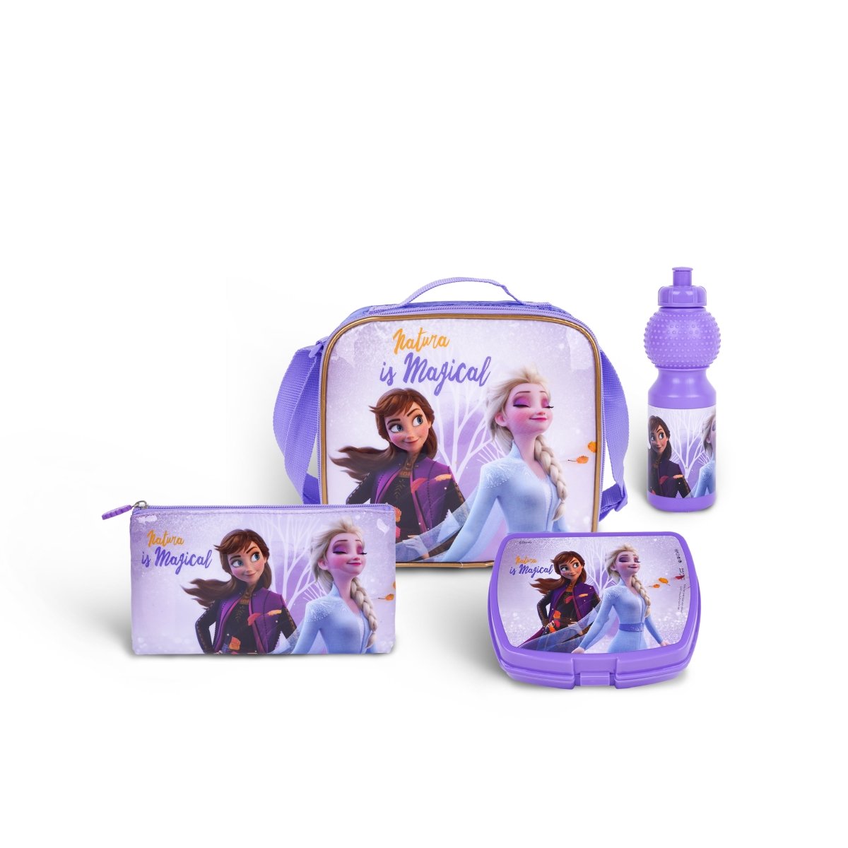 DISNEY FROZEN NATURE IS MAGICAL 5IN1 TROLLEY BOX SET 18" - Premium for Kids in Qatar | Toysaro.com