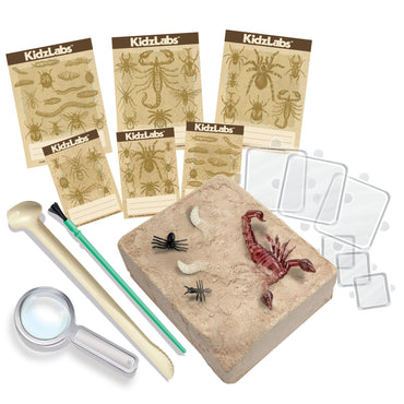 Creepy Crawly Digging Kit - Premium for Kids in Qatar | Toysaro.com