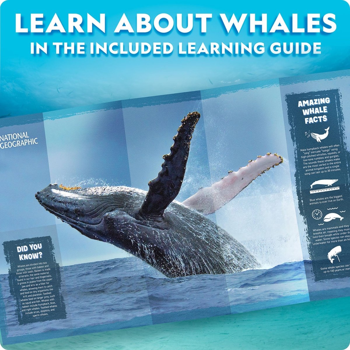 NG MOTORIZED WHALE MODEL - Premium for Kids in Qatar | Toysaro.com