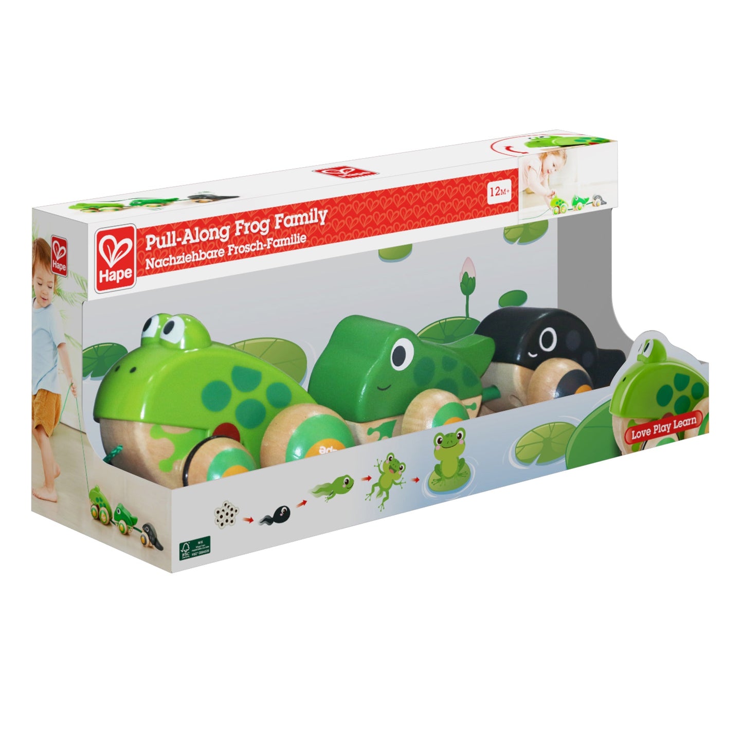 Hape Wooden Frog - Themed Push and Pull - Along Toy - Premium for Kids in Qatar | Toysaro.com