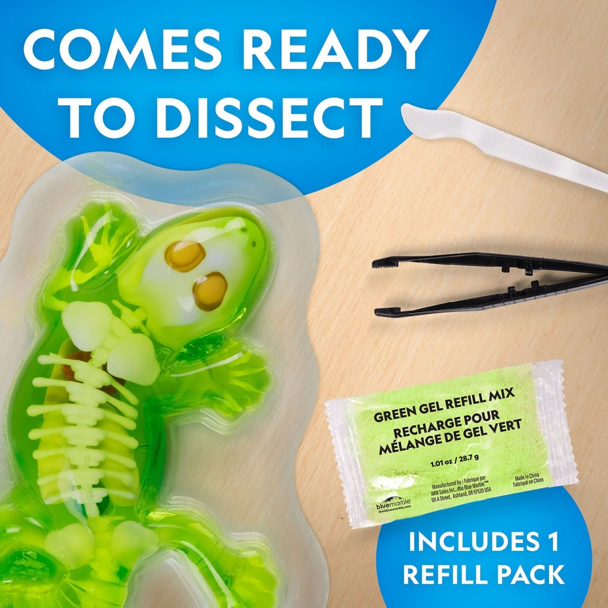 NG GLOW - IN - THE - DARK GECKO DISSECTION LAB - Premium for Kids in Qatar | Toysaro.com