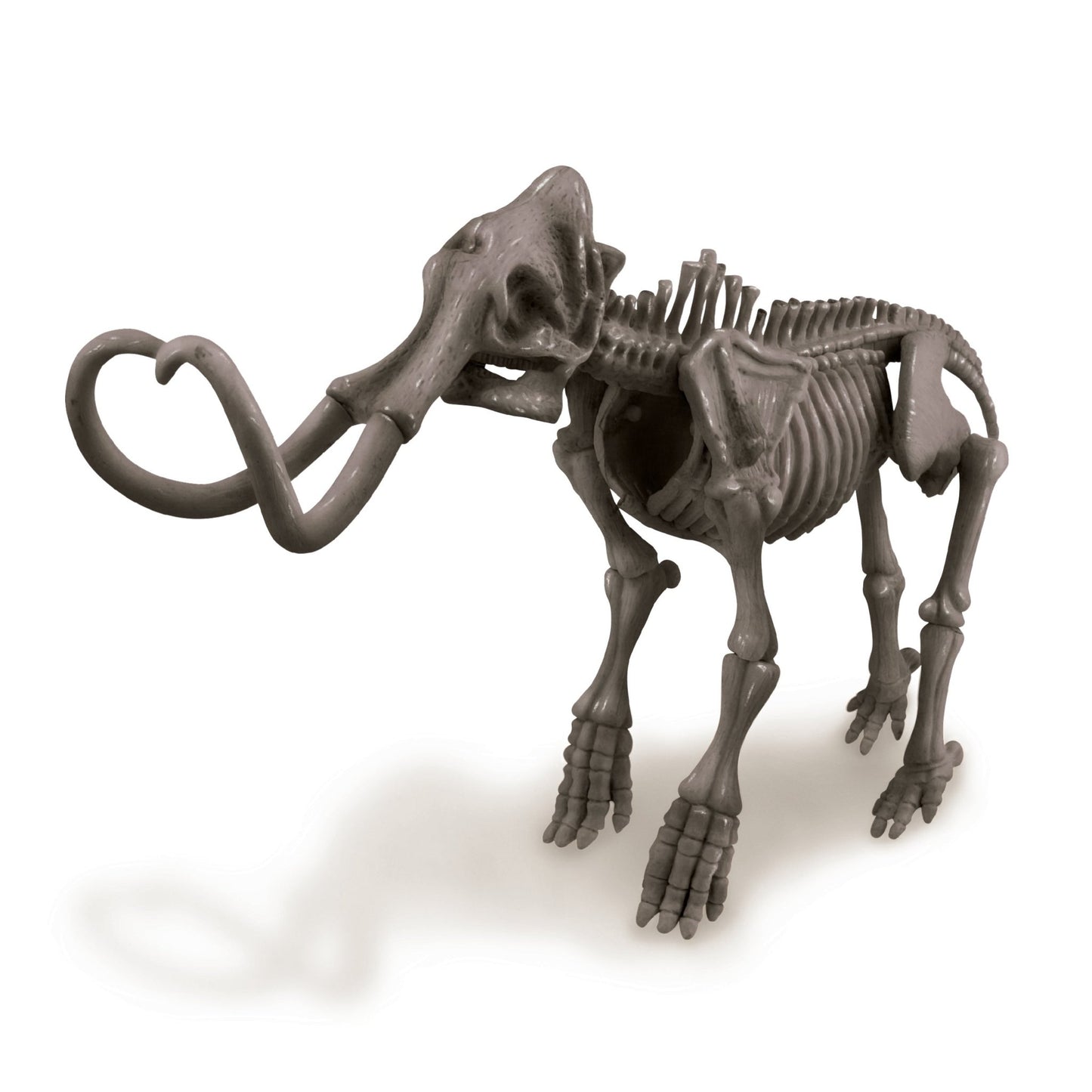 4M Kidz Labs / Mammoth Skeleton Excavation - Premium for Kids in Qatar | Toysaro.com