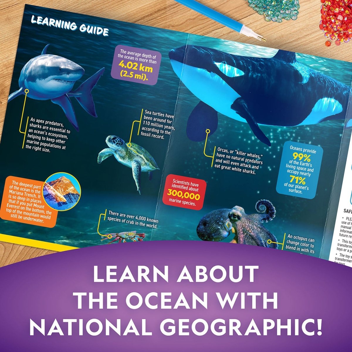 NG OCEAN NIGHT - LIGHT CRAFT KIT - Premium for Kids in Qatar | Toysaro.com