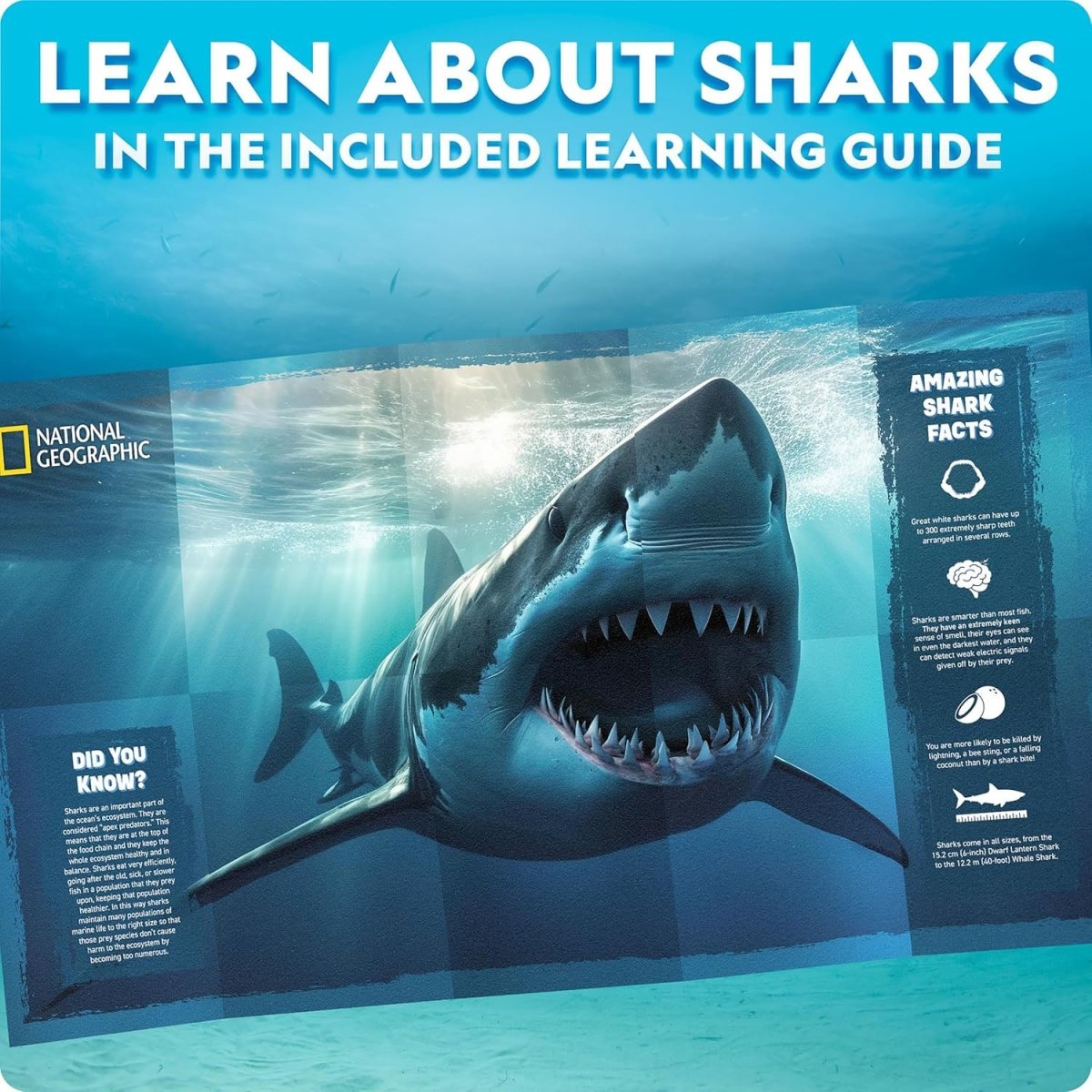 NG MOTORIZED SHARK MODEL - Premium for Kids in Qatar | Toysaro.com