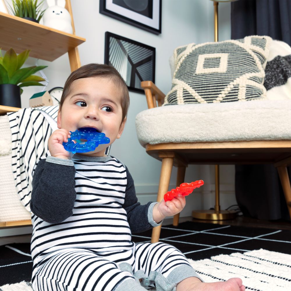 Baby Einstein™Ocean explorers cool critters™ teether toy set - Premium for Kids in Qatar | Toysaro.com