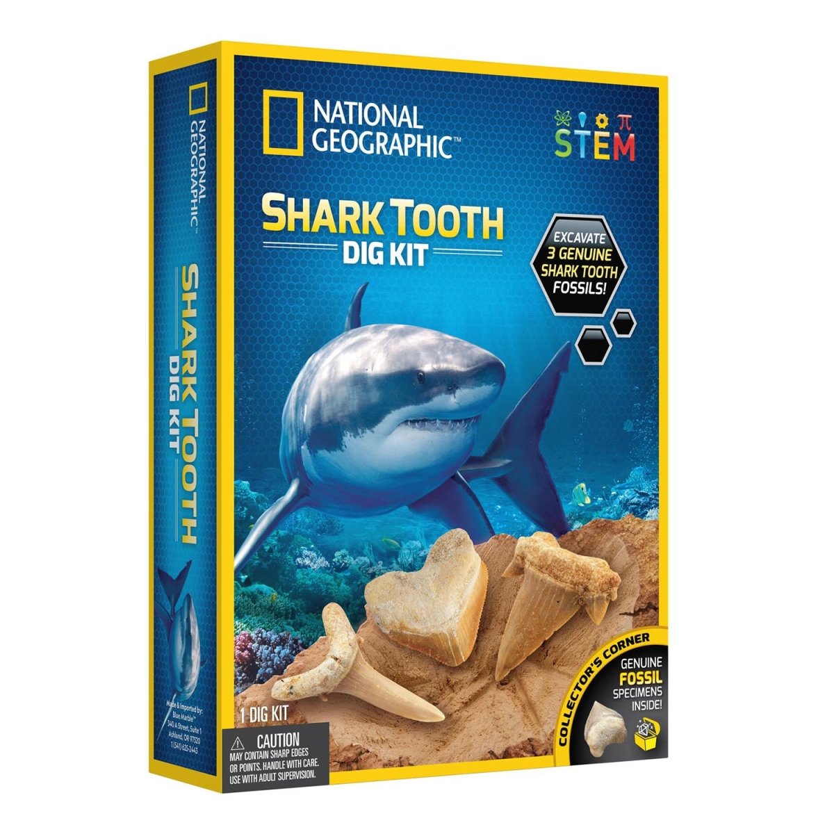 NG SHARK TOOTH DIG KIT - Premium for Kids in Qatar | Toysaro.com