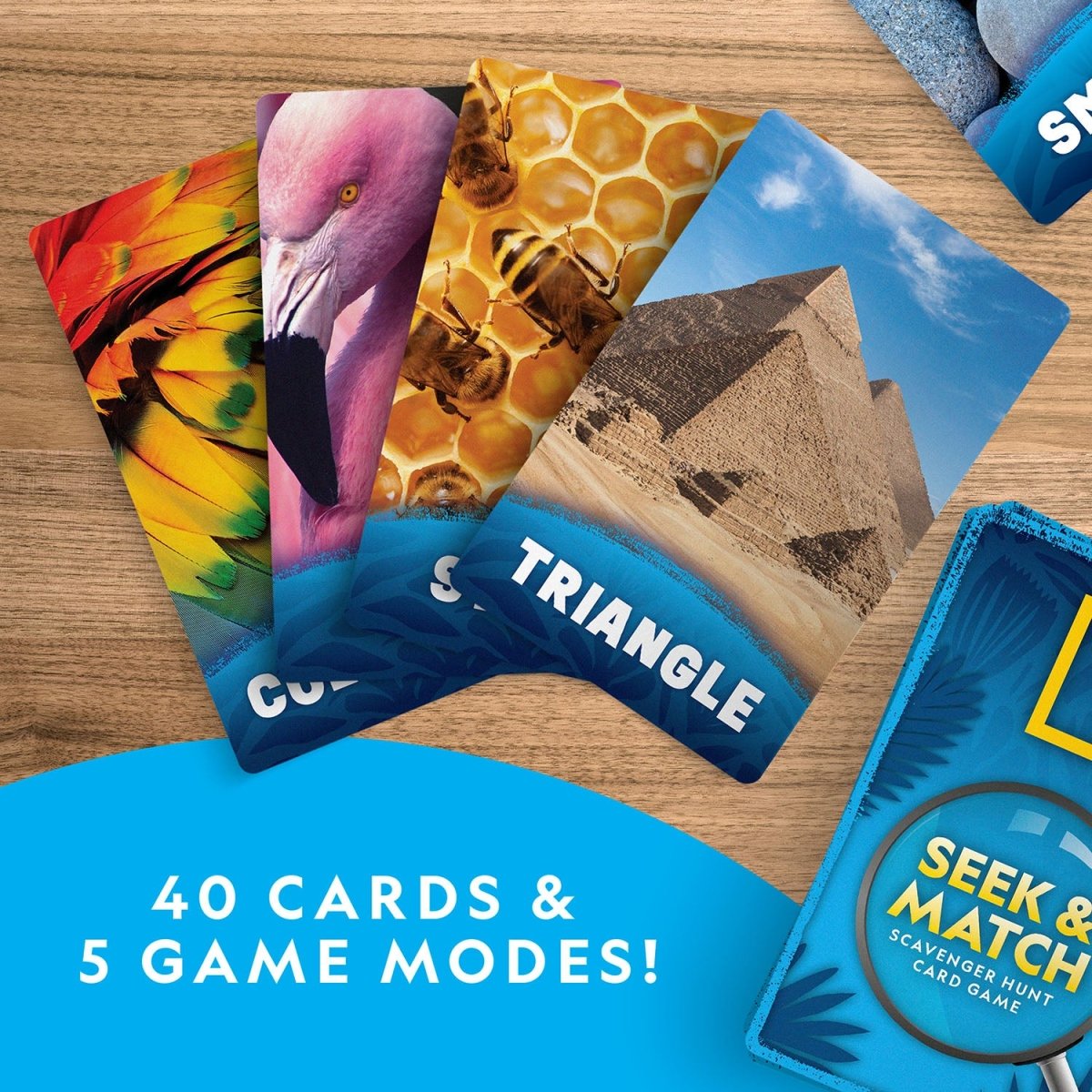 NG SEEK & MATCH SCAVENGER HUNT CARD GAME - Premium for Kids in Qatar | Toysaro.com