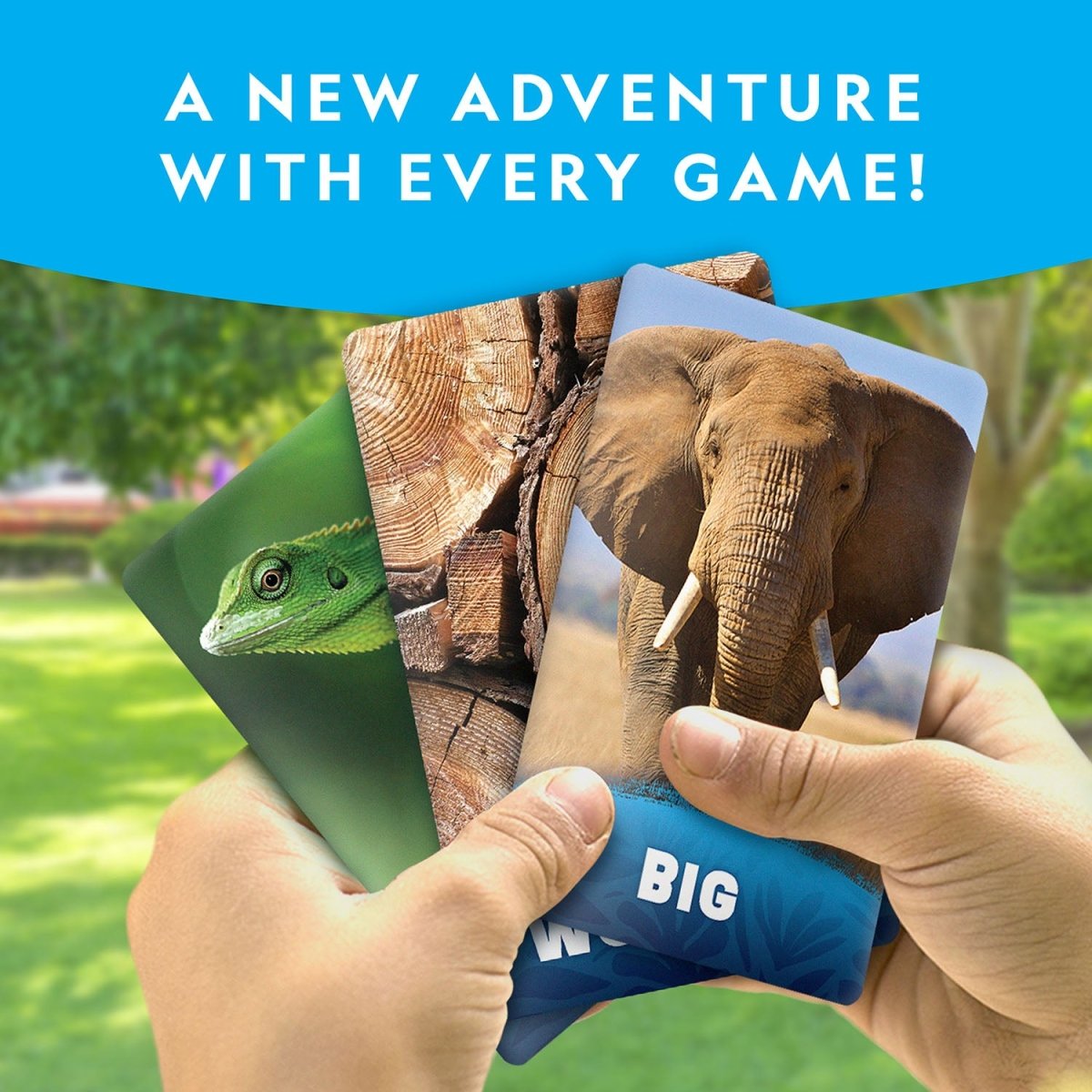NG SEEK & MATCH SCAVENGER HUNT CARD GAME - Premium for Kids in Qatar | Toysaro.com
