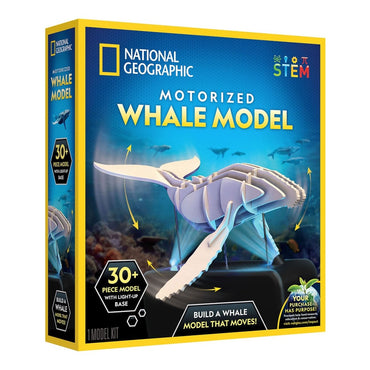NG MOTORIZED WHALE MODEL - Premium for Kids in Qatar | Toysaro.com