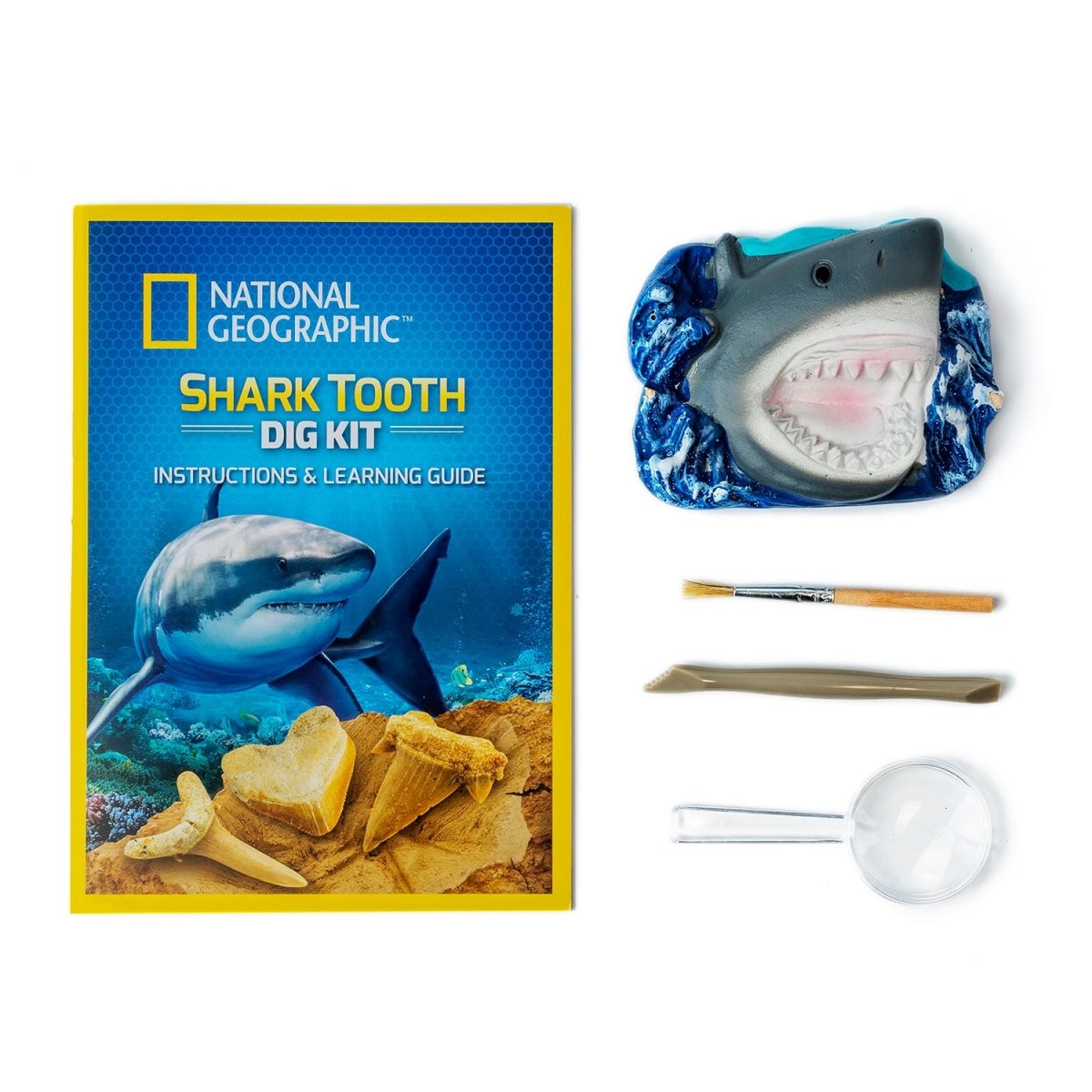 NG SHARK TOOTH DIG KIT - Premium for Kids in Qatar | Toysaro.com