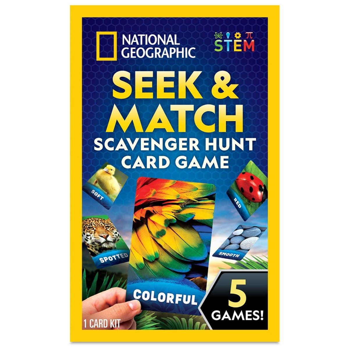 NG SEEK & MATCH SCAVENGER HUNT CARD GAME - Premium for Kids in Qatar | Toysaro.com