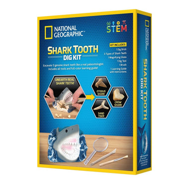 NG SHARK TOOTH DIG KIT - Premium for Kids in Qatar | Toysaro.com
