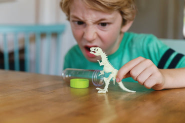 4M Glow T - Rex Skeleton - Premium for Kids in Qatar | Toysaro.com