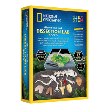 NG GLOW - IN - THE - DARK GECKO DISSECTION LAB - Premium for Kids in Qatar | Toysaro.com
