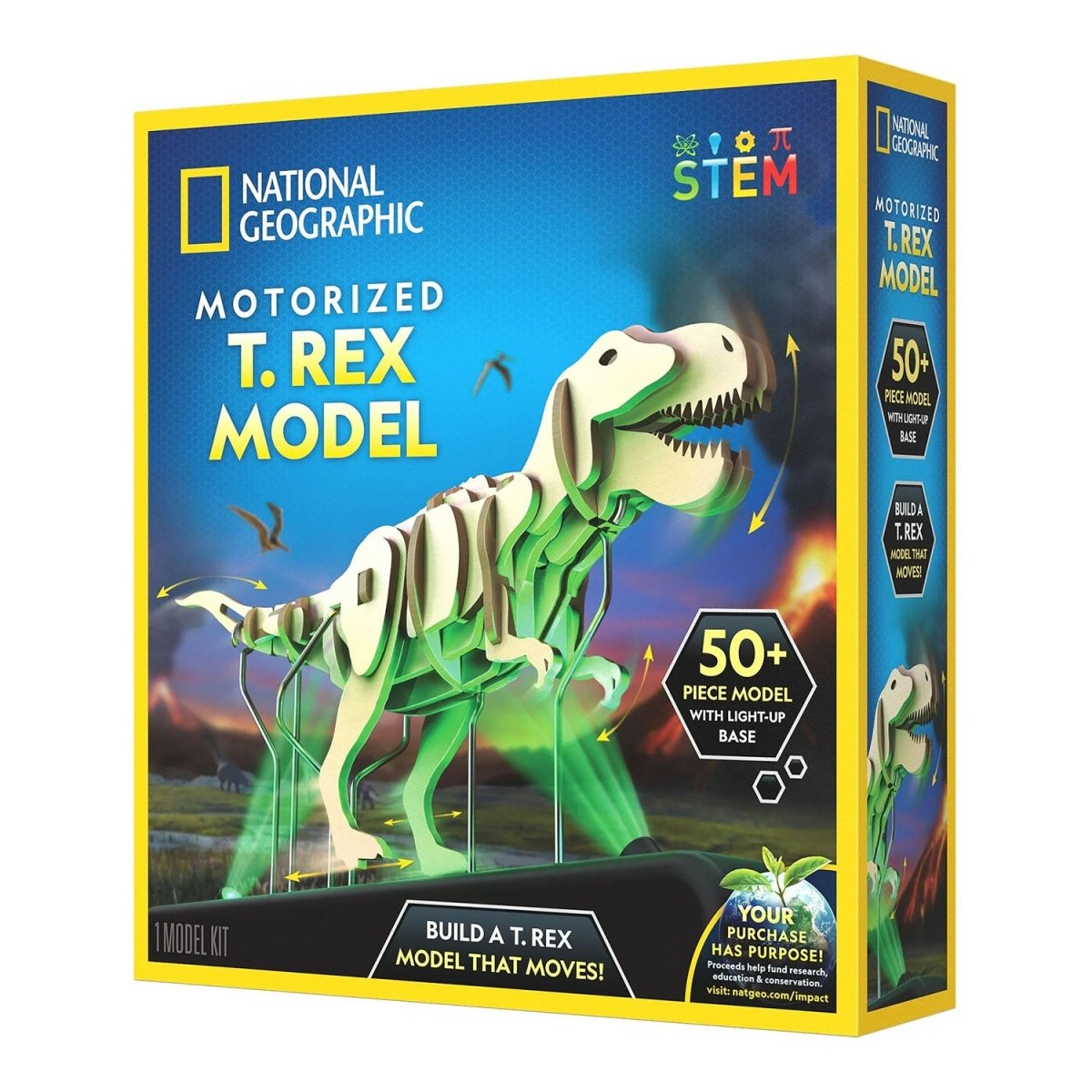 NG MOTORIZED T - REX MODEL - Premium for Kids in Qatar | Toysaro.com