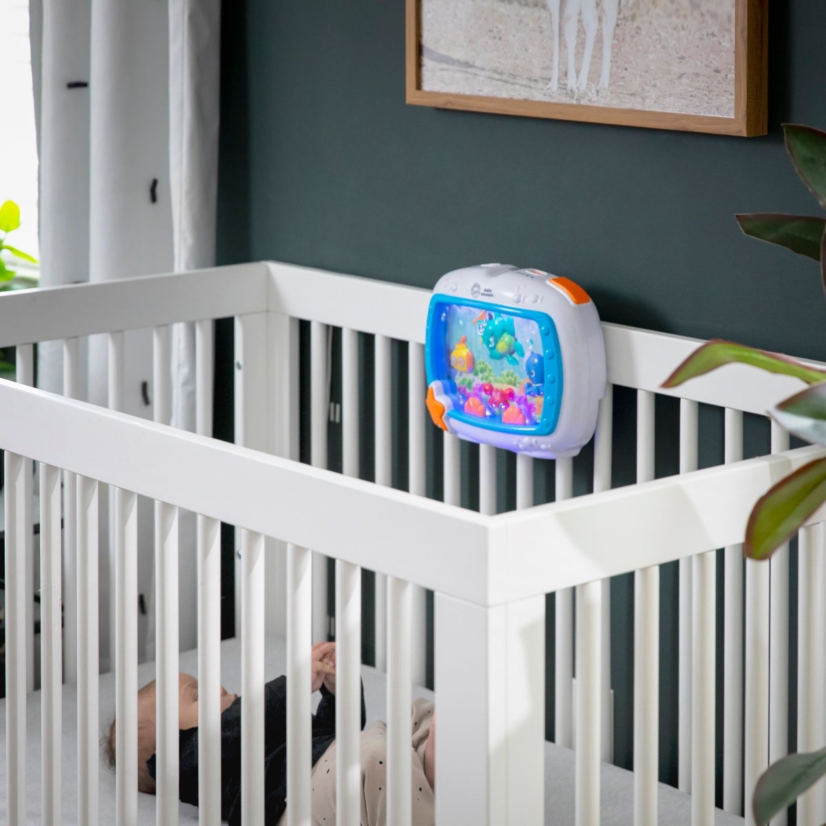 BABY EINSTEIN™ SEA DREAMS SOOTHER CRIB TOY - Premium for Kids in Qatar | Toysaro.com
