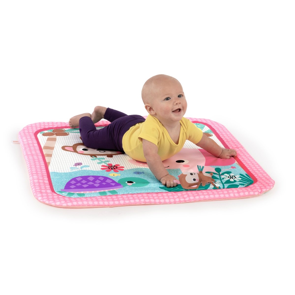 FANCIFUL FLOWERS REFRESH - Premium for Kids in Qatar | Toysaro.com