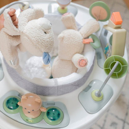 SPRING & SPROUT 2 - IN - 1 ACTIVITY JUMPER &TABLE FIRST FOREST - Premium for Kids in Qatar | Toysaro.com