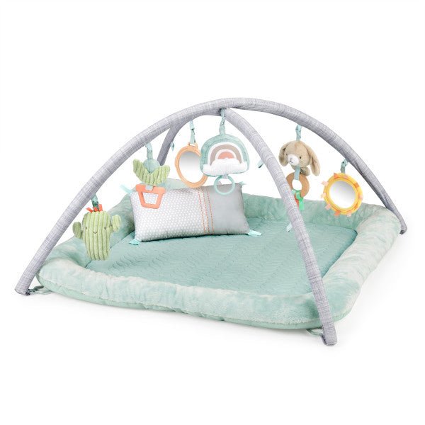 INGENUITY™CALM SPRINGS PLUSH ACTIVITY GYM - CHIC BOUTIQUE - Premium for Kids in Qatar | Toysaro.com