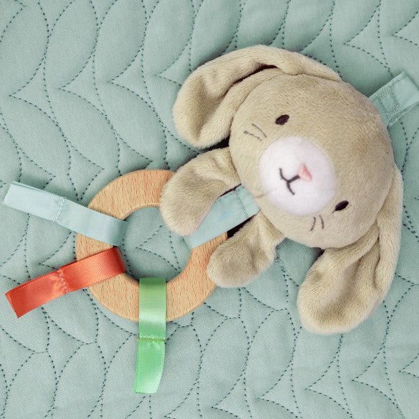 INGENUITY™CALM SPRINGS PLUSH ACTIVITY GYM - CHIC BOUTIQUE - Premium for Kids in Qatar | Toysaro.com