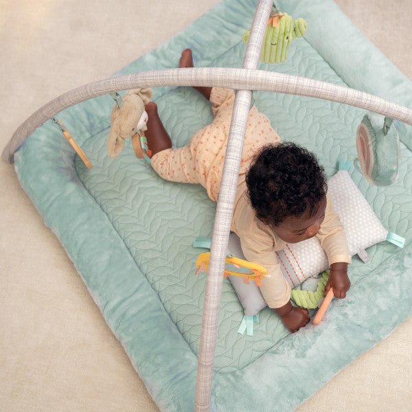 INGENUITY™CALM SPRINGS PLUSH ACTIVITY GYM - CHIC BOUTIQUE - Premium for Kids in Qatar | Toysaro.com